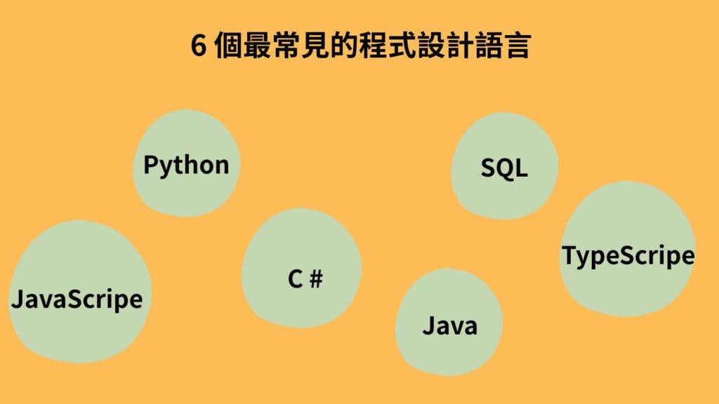 主流的程式語言： Python、SQL、Java、tyescripe、JavaScripe